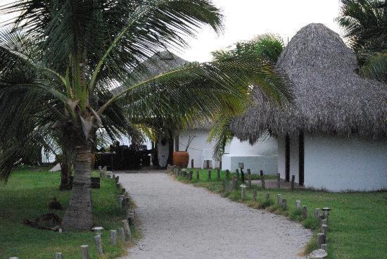 Cardon Adventure Resort Mazatlán Εξωτερικό φωτογραφία